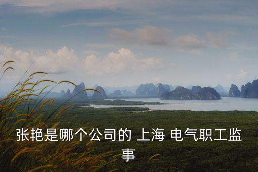 張艷是哪個公司的 上海 電氣職工監(jiān)事