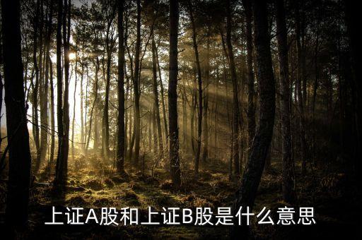 南玻集團股票