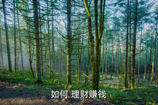 如何 理財(cái)賺錢