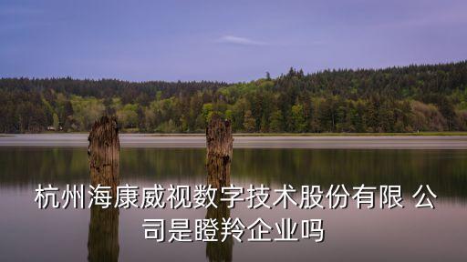  杭州?？低晹?shù)字技術(shù)股份有限 公司是瞪羚企業(yè)嗎