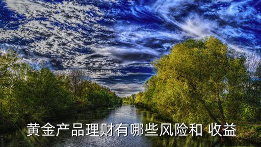  黃金產品理財有哪些風險和 收益