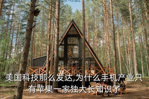 蘋(píng)果公司在美國(guó)的地位,美國(guó)蘋(píng)果公司員工待遇