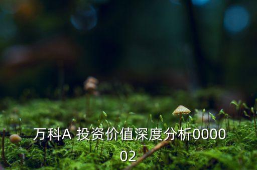  萬科A 投資價值深度分析000002