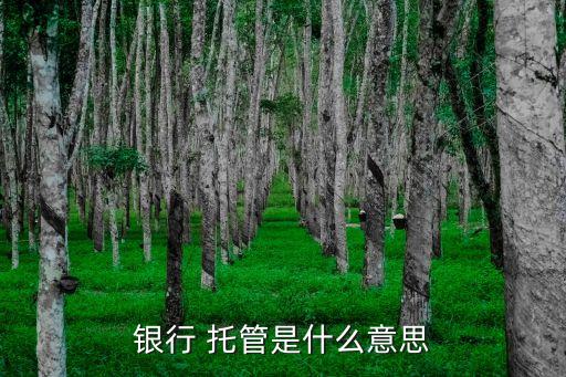 商業(yè)銀行的托管業(yè)務(wù)