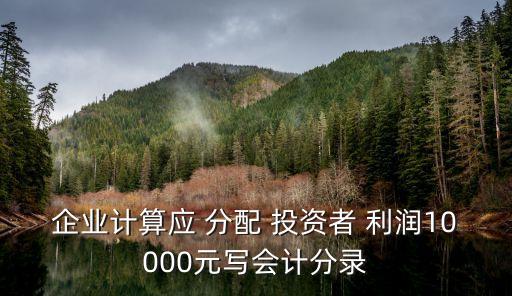 企業(yè)計(jì)算應(yīng) 分配 投資者 利潤10000元寫會計(jì)分錄