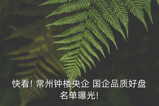 快看! 常州鐘樓央企 國企品質好盤名單曝光!