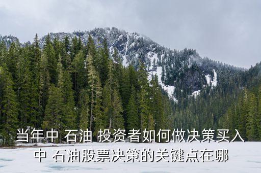 如何長線投資石油,中國石油長線投資可以買嗎?