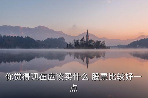 你覺得現(xiàn)在應(yīng)該買什么 股票比較好一點