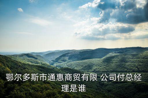 鄂爾多斯市通惠商貿有限 公司付總經(jīng)理是誰