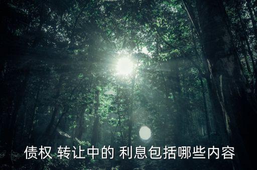 銀行債權(quán)轉(zhuǎn)讓后的利息計算,金融債權(quán)轉(zhuǎn)讓給個人后利息計算