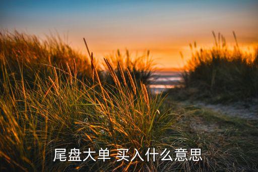 尾盤(pán)大單 買(mǎi)入什么意思