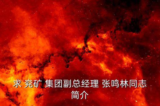 兗礦集團張鳴林,張鳴林 兗礦集團