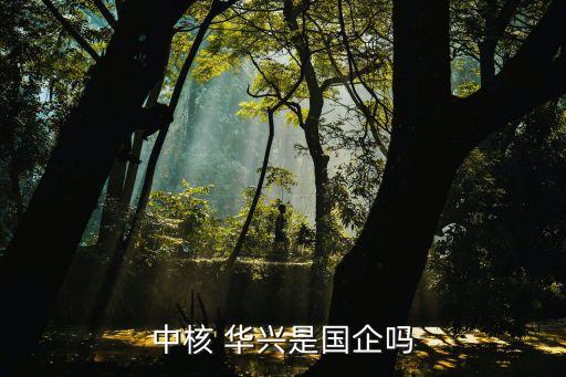 中核 華興是國(guó)企嗎