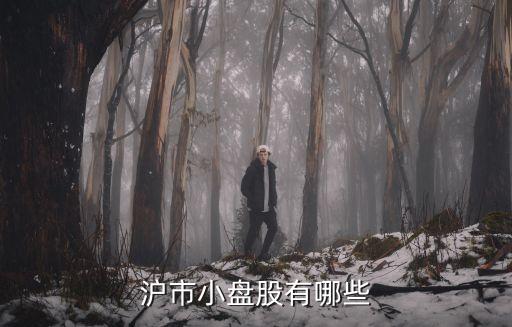 滬市小盤股有哪些