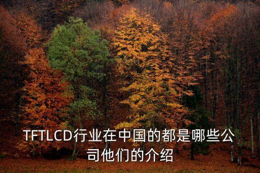TFTLCD行業(yè)在中國(guó)的都是哪些公司他們的介紹