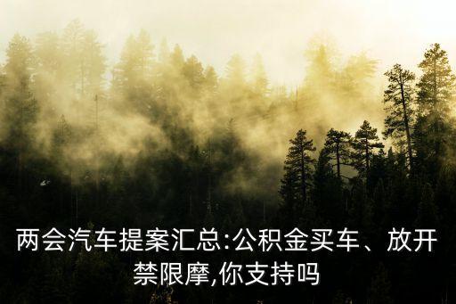 兩會(huì)汽車提案匯總:公積金買車、放開(kāi)禁限摩,你支持嗎