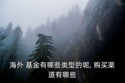 購(gòu)買(mǎi)國(guó)外基金,國(guó)外基金公司