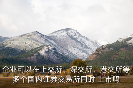 企業(yè)可以在上交所、深交所、港交所等多個國內(nèi)證券交易所同時 上市嗎