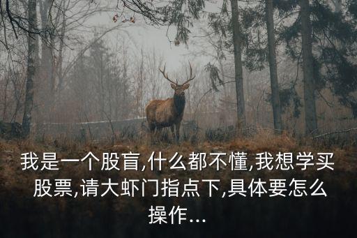 我是一個(gè)股盲,什么都不懂,我想學(xué)買 股票,請(qǐng)大蝦門指點(diǎn)下,具體要怎么操作...