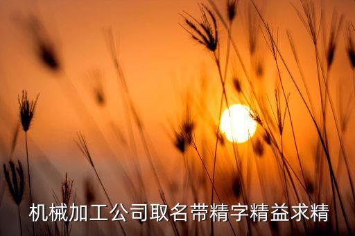 奇精機械股份有限公司董事長,寧?？h奇精機械股份有限公司