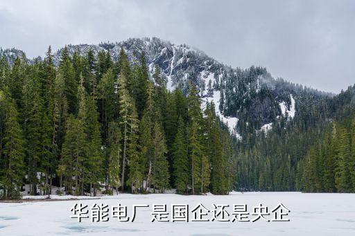  華能電廠是國(guó)企還是央企
