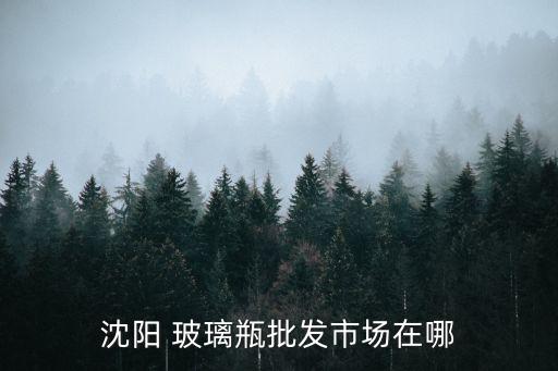 沈陽 玻璃瓶批發(fā)市場(chǎng)在哪
