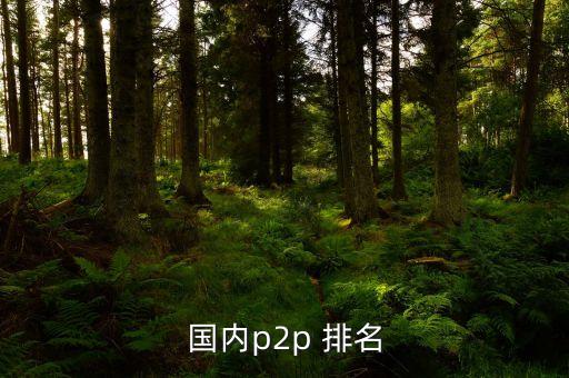 國內p2p 排名