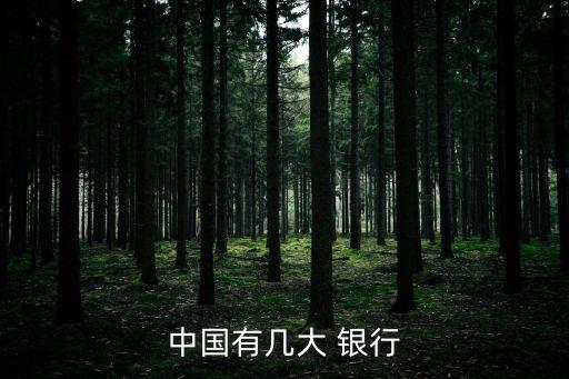 中國(guó)一共多少個(gè)銀行,四大行和五大行區(qū)別
