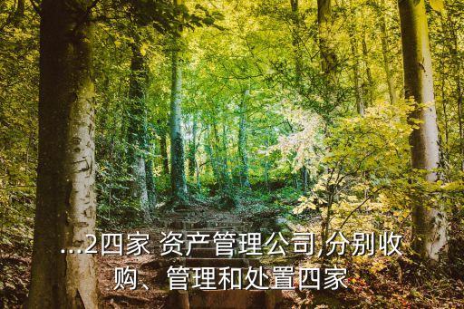 ...2四家 資產(chǎn)管理公司,分別收購、管理和處置四家