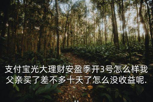 支付寶光大理財(cái)安盈季開3號怎么樣我父親買了差不多十天了怎么沒收益呢...
