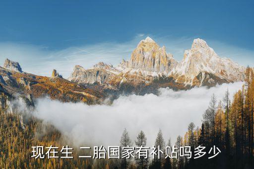 現(xiàn)在生 二胎國家有補貼嗎多少