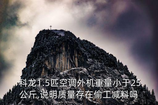 科龍集團(tuán),搶占市場制高點(diǎn)的科龍集團(tuán)