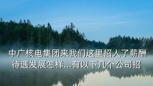  中廣核電集團來我們這里招人了薪酬待遇發(fā)展怎樣...有以下幾個公司招...