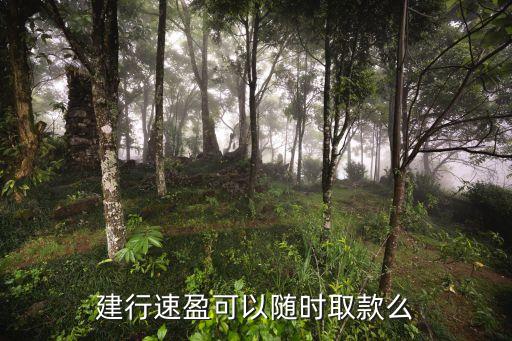 建行速盈可以隨時(shí)取款么