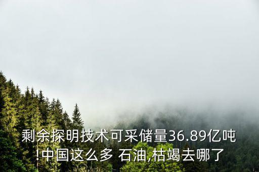 剩余探明技術(shù)可采儲量36.89億噸!中國這么多 石油,枯竭去哪了