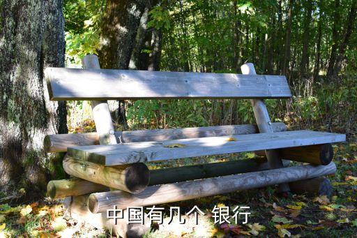 中國有幾個(gè) 銀行