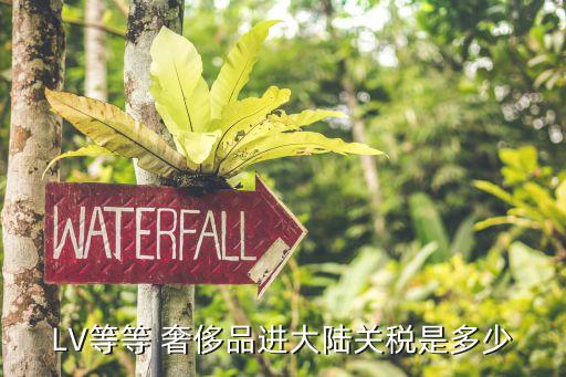 LV等等 奢侈品進(jìn)大陸關(guān)稅是多少