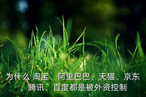 為什么 淘寶、阿里巴巴、天貓、京東、騰訊、百度都是被外資控制