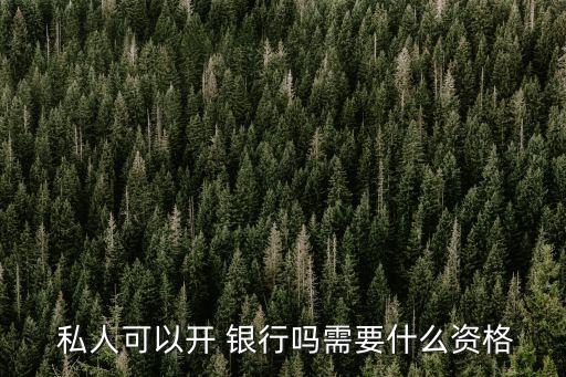 私人可以開 銀行嗎需要什么資格