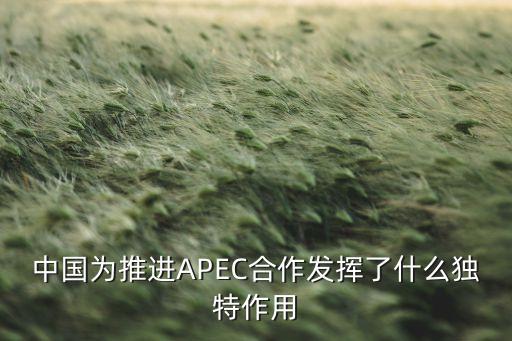中國(guó)為推進(jìn)APEC合作發(fā)揮了什么獨(dú)特作用