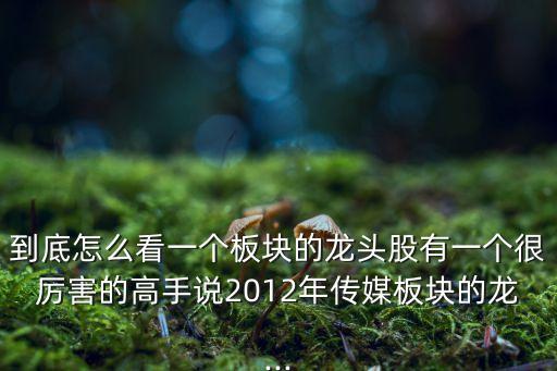 到底怎么看一個板塊的龍頭股有一個很厲害的高手說2012年傳媒板塊的龍...