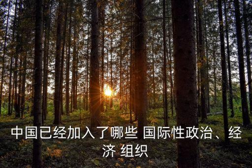 中國已經(jīng)加入了哪些 國際性政治、經(jīng)濟(jì) 組織