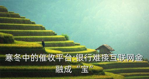 寒冬中的催收平臺:銀行難接互聯(lián)網(wǎng)金融成“寶”