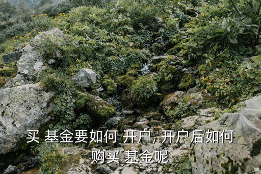 買(mǎi) 基金要如何 開(kāi)戶(hù), 開(kāi)戶(hù)后如何購(gòu)買(mǎi) 基金呢