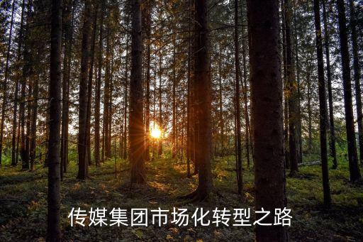 華商傳媒集團市場化轉型之路