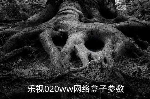 樂(lè)視020ww網(wǎng)絡(luò)盒子參數(shù)
