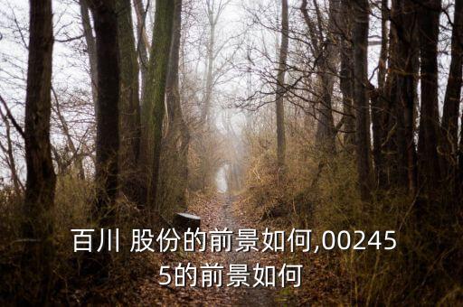 無(wú)錫百川化工股份有限公司怎么樣,寧東百川化工股份有限公司