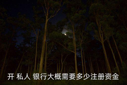 開 私人 銀行大概需要多少注冊(cè)資金