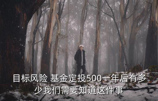目標風(fēng)險 基金定投500一年后有多少我們需要知道這件事