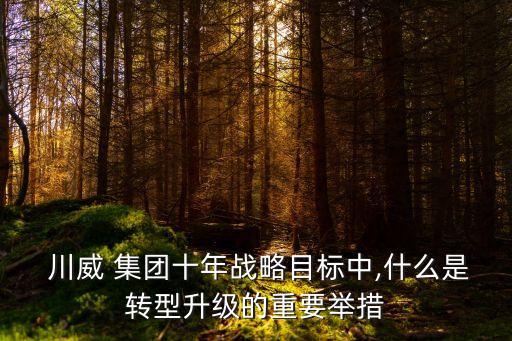  川威 集團十年戰(zhàn)略目標中,什么是轉(zhuǎn)型升級的重要舉措